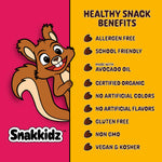 Snakkidz Organic Chocolate Chip Chewy Granola Bar, 15 Count, Nut and Allergen Free, Low Sugar, Made with Avocado Oil