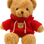 Teddy bear wearing a red hoodie with a bear face on a white background
