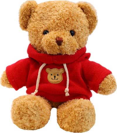 Teddy bear wearing a red hoodie with a bear face on a white background