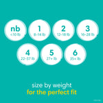 Pampers Baby Dry Diapers Size 3 104 Count (Pack of 2)