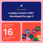 Cerebelly Organic Baby Food Pouches, Spinach Apple Sweet Potato Purees, 16 Nutrients, No Added Sugar, Fiber & Non-GMO, 4oz, 12 Pack