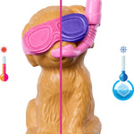Barbie Puppy Pool Party Playset with Doll, Dog House and Slide, Heart Shaped Pool, Two Dog Figures, Six Accessories and Color Change, JBF35