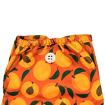 Buttons Cloth Diaper Cover – Snap Super One Size (12-40lbs) (Peachy)