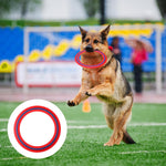 Seenelling 4 Pack Flying Disc 11 Inch Flying Ring Bulk for Backyard Beach Sport Outdoor Soft Discs for Beach Pool Backyard Camping Activities Sport Playing Toss Gift (Cyan,Blue,Yellow,Red)