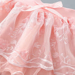 Girls Summer Half Skirt Embroidered Pattern Bow Multi Layer Pommel Skirt Casual Outing for 1 to 7 (Pink, 18-24 Months)