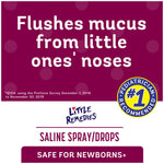 Little Remedies Sterile Baby Saline Nasal Spray and Drops, Safe for Newborns to Relieve Stuffy and Dry Noses, 1 Fl Oz