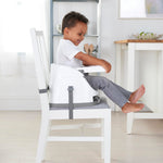 Ingenuity Baby Base 2-in-1 Booster Feeding and Floor Seat with Self-Storing Tray - Pink Flambe