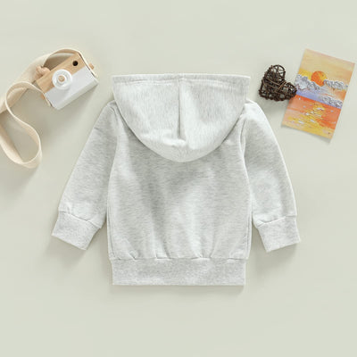 Gueuusu Toddler Baby Zip Up Hoodies Boy Girl Long Sleeve Hooded Sweatshirt Jacket Top with Pocket Kid Casual Outwear Clothes (Gray, 2-3 Years)