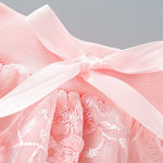 Girls Summer Half Skirt Embroidered Pattern Bow Multi Layer Pommel Skirt Casual Outing for 1 to 7 (Pink, 18-24 Months)