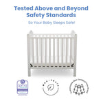 Delta Children Emery Mini Convertible Baby Crib with 2.75-inch Mattress, Bianca White