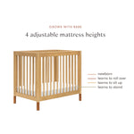 Babyletto Gelato 4-in-1 Baby Mini Crib Convertible to Toddler Bed, Daybed, Twin Bed - GREENGUARD Gold Certified, 4 Adjustable Heights - Made of 100% Solid Wood - Conversion Kit Sold Separately - Honey