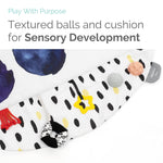 Baby Play Gym with Activity Mat, Toys, and Arches, 0-6 Months