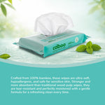 Caboo Mint Flushable Wipes, Certified Flushable, Septic Safe, Chemical Free, Biodegradable Wipes for Adults made with Renewable Bamboo Based Viscose (Pack of 3, Total of 180)