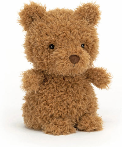 Brown teddy bear on a white background