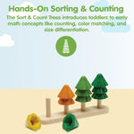 PlanToys Sort & Count Trees (5403)