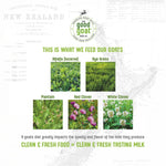 New Zealand Full Cream Goat Milk Powder (Natural) - 14oz
