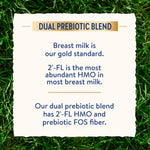 Similac Dual Prebiotic Blend, Baby Formula With Iron, Ready to Feed, 0-12 Months, 8-fl-oz Bottle, Pack of 24