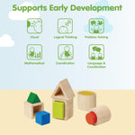 Plan Toys 5391 Wooden Toy