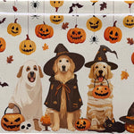 Fall Pumpkin Basket - Pumpkin Storage Bin Collapsible - Thanksgiving Room Decor Gift Basket - Black Cat Baskets Stuffer for Women - Autumn Farm Harvest Baskets for Kids Clothes, Gifts, Books, Toys