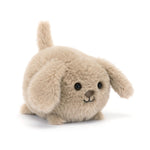 Plush toy dog on a white background