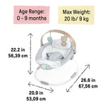 Ingenuity Cozy Spot Soothing Baby Bouncer with Wooden-Toy Arch, Natural Rubber-Toy, Safety Harness, Music & Auto-Shutoff, 0-6 Months, Grey