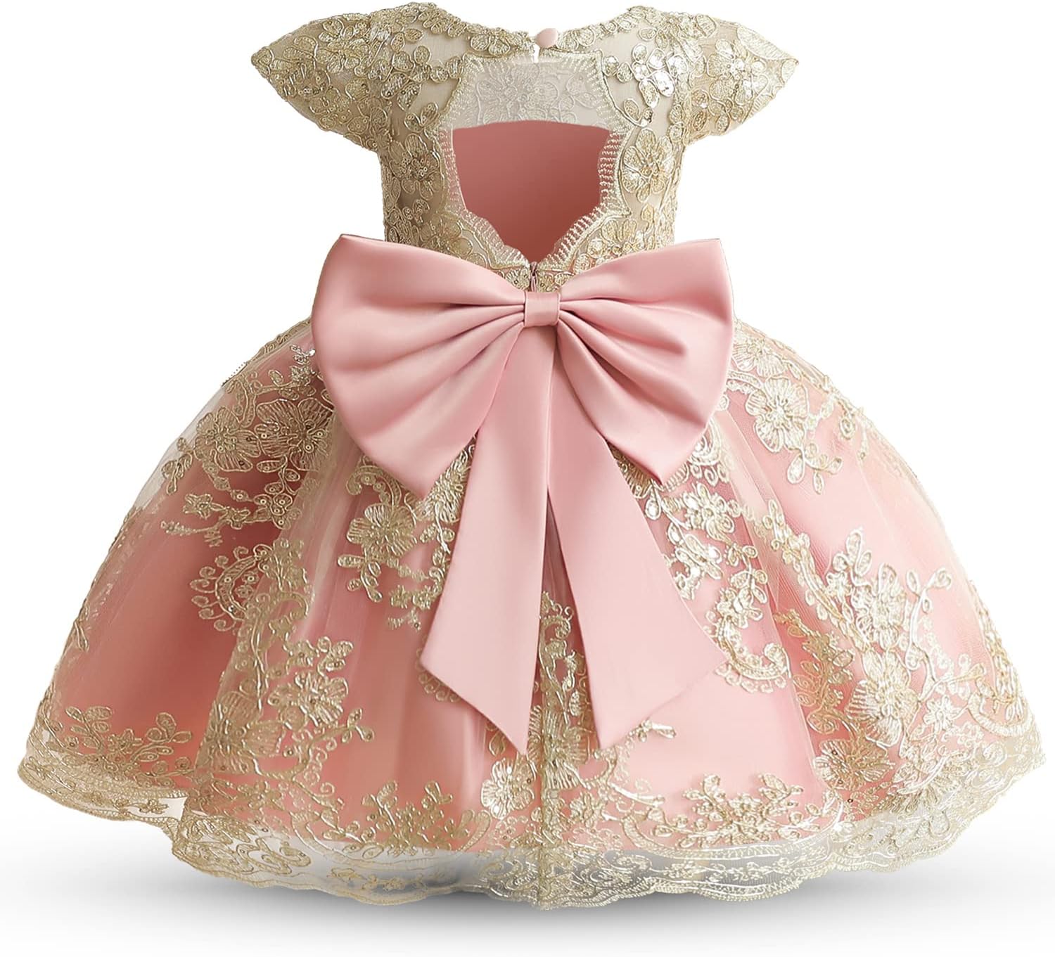 HNXDYY Baby Girl Tutu Dress Princess Lace Embroidery Wedding Party Gown