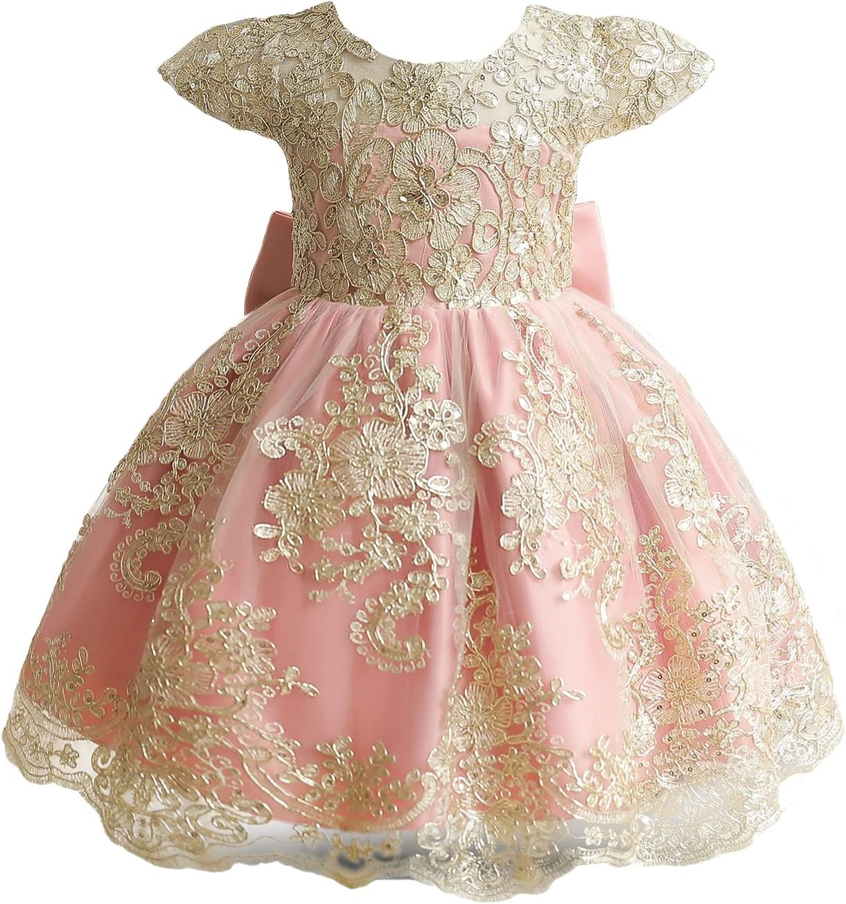 HNXDYY Baby Girl Tutu Dress Princess Lace Embroidery Wedding Party Gown