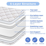 Tiankehan Mini Crib Mattress - 38x24x4 Inch- Dual Sided with Firm Support and Comfort Foam- Breathable, Quiet and Odorless, Fits Most Mini Cribs (Does Not Fit Playard or Standard Crib)