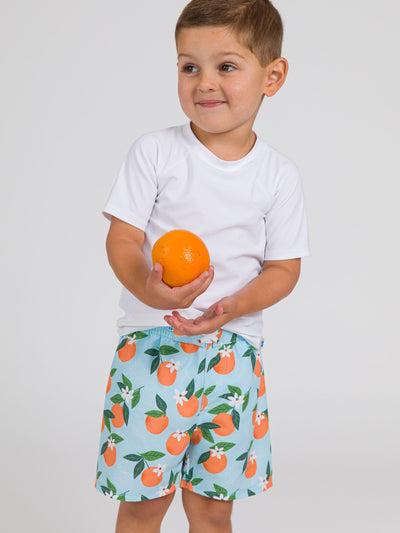 RUGGEDBUTTS Boys UPF50+ Sun Protection Fruits & Florals Swim Trunks - Blue Orange You The Sweetest, 12-18m