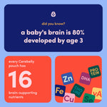 Cerebelly Organic Baby Food Pouches, Purple Carrot Blueberry Smoothie Purees, 16 Nutrients, No Added Sugar, Non-GMO, Toddler Snacks, 4oz, 6 Pack