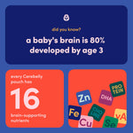 Cerebelly Organic Baby Food Pouches, Butternut Squash White Bean Purees, 16 Nutrients, No Added Sugar, Fiber & Non-GMO, 4oz, 6 Pack