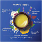 Motherlove Pregnant Belly Salve (4 oz) Moisturizing Balm to Use on Growing Belly—Non-GMO & Organic Herbs