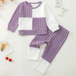 2T 3T Girl Clothes Long Sleeve Purple Shirts Knit Pants Soft Leggings Little Girl 2 Piece Cute Outfit Toddler Fall Winter Clothes
