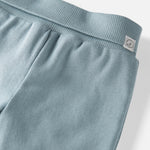 little planet by carter's unisex-baby 2-pack Pants made with Organic Cotton, Blue Creek/Grey, 12 Months