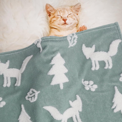 BORITAR 3D Fox Baby Blanket for Boys Girls Jacquard Fleece Fuzzy Toddler Nursery Blanket Soft Warm Cozy Blanket with 3D Animal Design for Infant or Newborn Home Decor (30 x 40 Inch, Sage Green)