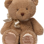 Brown teddy bear with a bow and 'my first teddy' tag on a white background