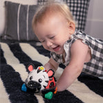 Baby Einstein Curious Car Zen Oball Toy Car & Rattle, Light Up, Ages 3 Months+, Zen The Zebra