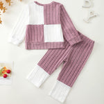 2T 3T Girl Clothes Long Sleeve Purple Shirts Knit Pants Soft Leggings Little Girl 2 Piece Cute Outfit Toddler Fall Winter Clothes