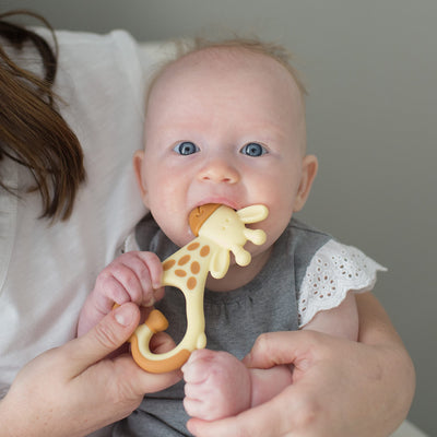 Dr. Brown's Ridgees Giraffe, Massaging Baby Teether, Designed by a Pediatric Dentist, BPA Free, 3m+