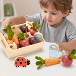 KizKnows Wooden Vegetable Garden Toy for Toddlers 3+, Pretend Harvest & Sorting Play Set with Planter Box, Fine Motor Learning Toy for 3 4 5 Year Old Boys Girls