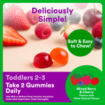 SmartyPants Organic Toddler Multivitamin Gummies: Omega 3 (ALA), Vitamin D3, C, Vitamin B12, B6, A, K & Zinc for Immune Support, Biotin, Vegetarian, Two Fruit Flavors, 60 Count (30 Day Supply)