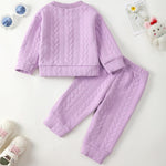 Kucnuzki Baby Girl Fall Winter Clothes Purple Crewneck Sweatshirt Plain Long Sleeve Shirts Cute Tops Baby Pants 12 18 Months Girl Clothes Toddler Outfit