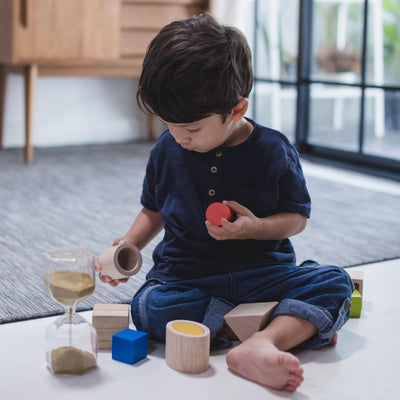 Plan Toys 5391 Wooden Toy