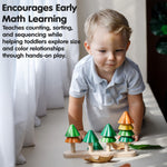 PlanToys Sort & Count Trees (5403)