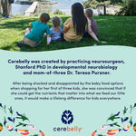 Cerebelly Toddler Snack Bars – Organic Carrot Date Smart Bars (Pack of 5), Healthy & Organic Whole Grain Bars with Veggies & Fruit, 16 Brain-supporting Nutrients from Superfoods, No Added Sugar