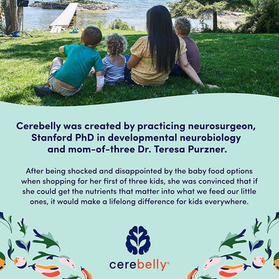 Cerebelly Toddler Snack Bars – Organic Carrot Date Smart Bars (Pack of 5), Healthy & Organic Whole Grain Bars with Veggies & Fruit, 16 Brain-supporting Nutrients from Superfoods, No Added Sugar