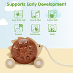PlanToys Pull Along Hedgehog – Brown (5274)