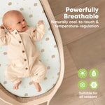 2-Pack Baby Bassinet Sheets Girl, Boy - 33x17 Viscose Derived from Bamboo Bedside Mattress Fitted Bassinet Sheets, Compatible with Halo Bassinest Swivel Sleeper, Baby Delight, Graco(Nibbles/Bruce)