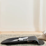 BabyBjörn Bouncer Balance Soft, Cotton/Jersey, Dark Gray/Gray 2-in-1 Adjustable Baby Bouncer Seat and Toddler Chair, Newborn to Toddler (8-29 lbs), 4 Positions, Lightweight & Portable