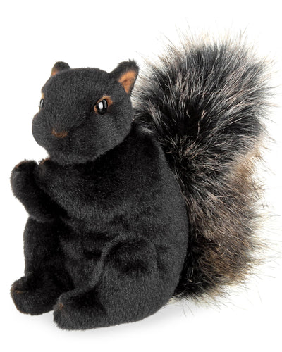 Plush toy squirrel on a white background